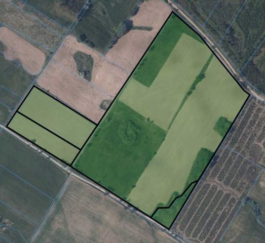 Działka rolna Królewo. Zdjęcie 1