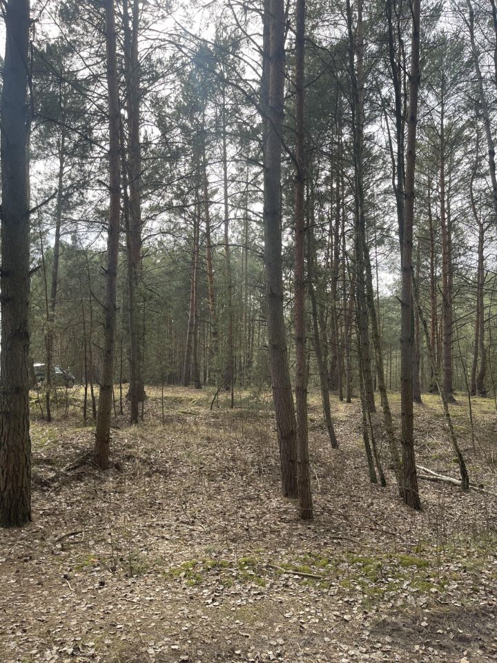 Działka budowlana Faustynów Fraszka. Zdjęcie 6