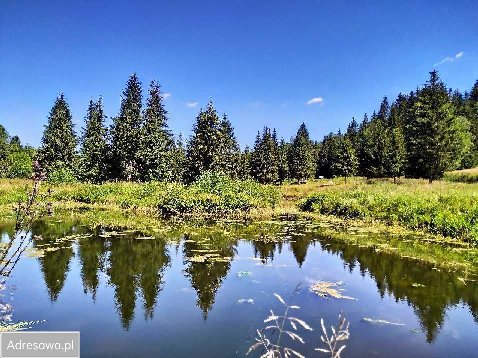 Działka rekreacyjna Piaskowice. Zdjęcie 2