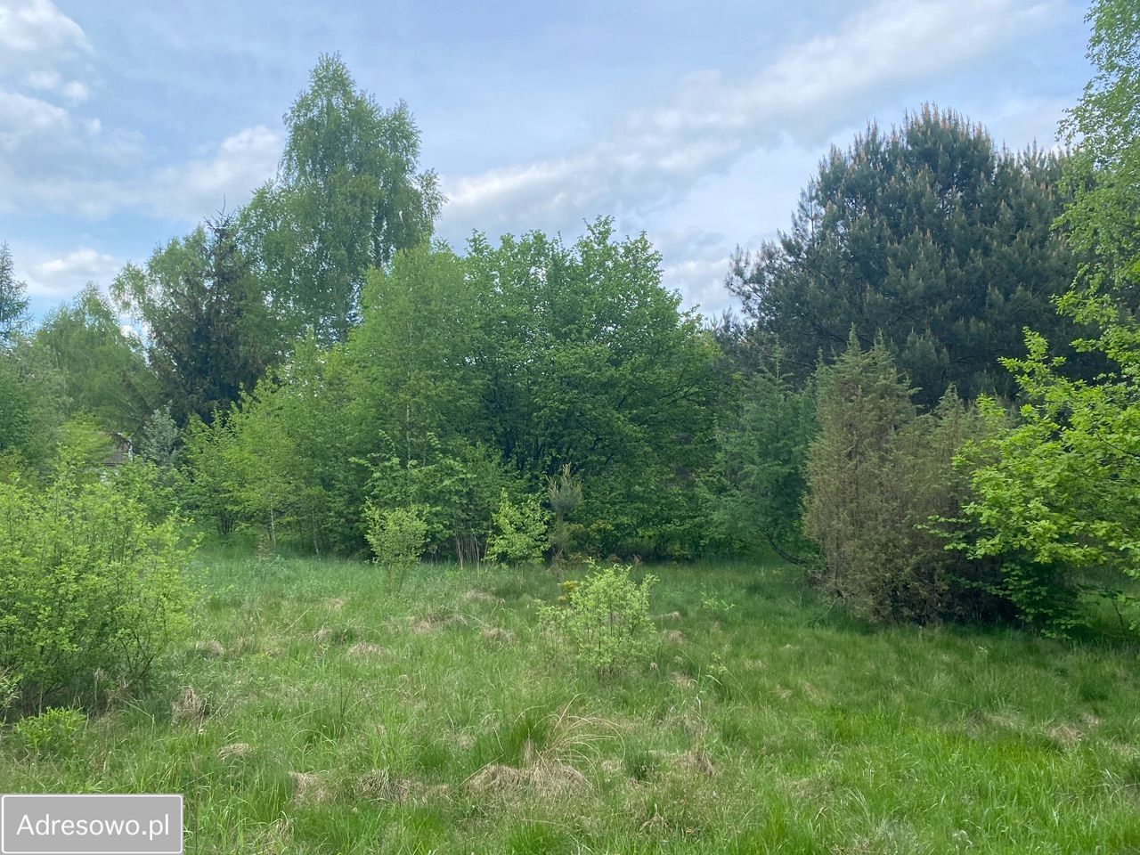 Działka budowlana Borowiec, ul. Księżnej Diany. Zdjęcie 4