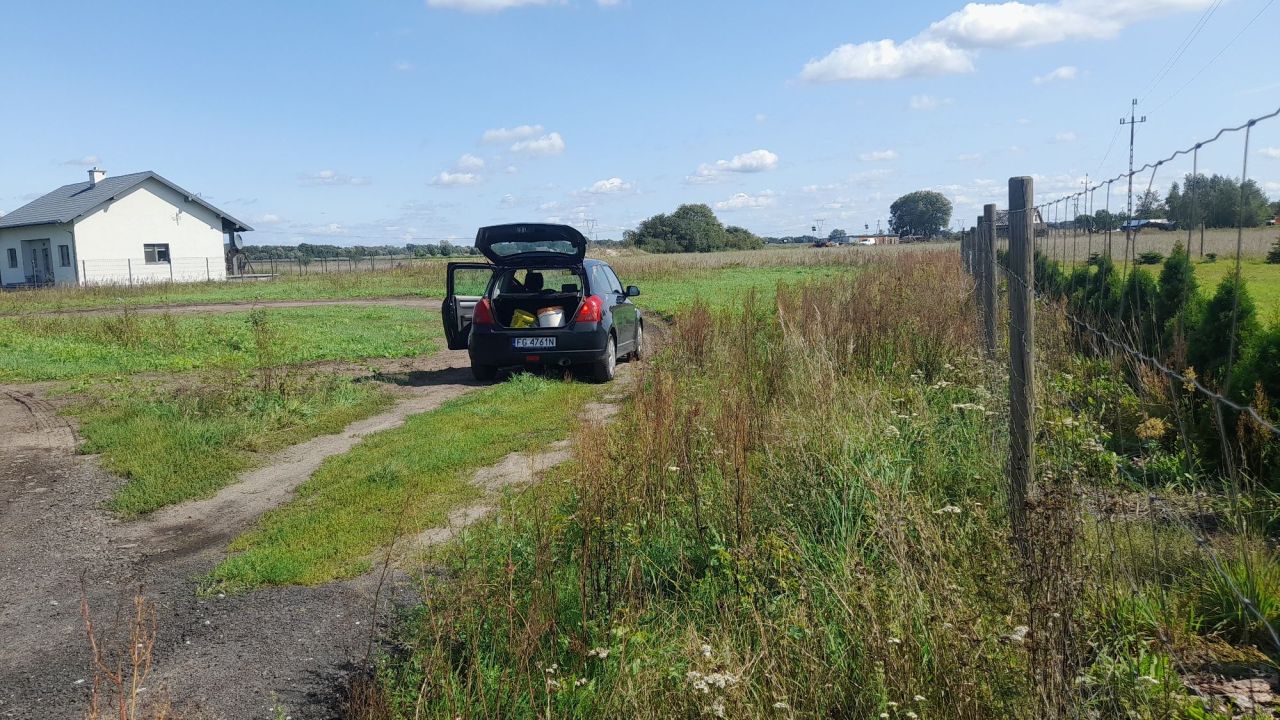 Działka budowlana Brzozowiec. Zdjęcie 6