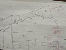 Działka leśna Zwiernik