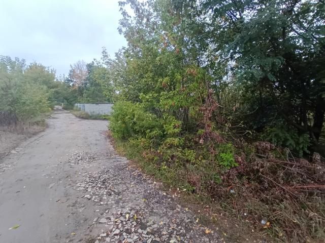 Działka rolno-budowlana Michałów-Reginów. Zdjęcie 4