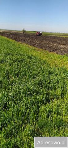 Działka rolna Wiślica. Zdjęcie 1