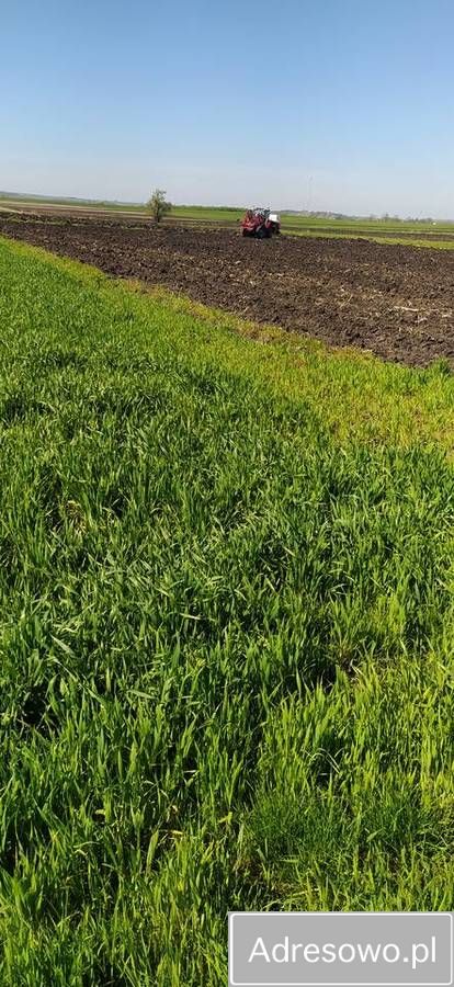 Działka rolna Wiślica