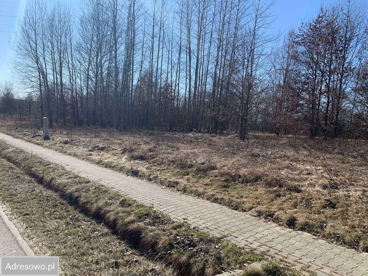 Działka budowlana Bliżyn, ul. Szydłowiecka. Zdjęcie 3