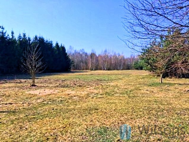 dom wolnostojący, 5 pokoi Ogonowo. Zdjęcie 15