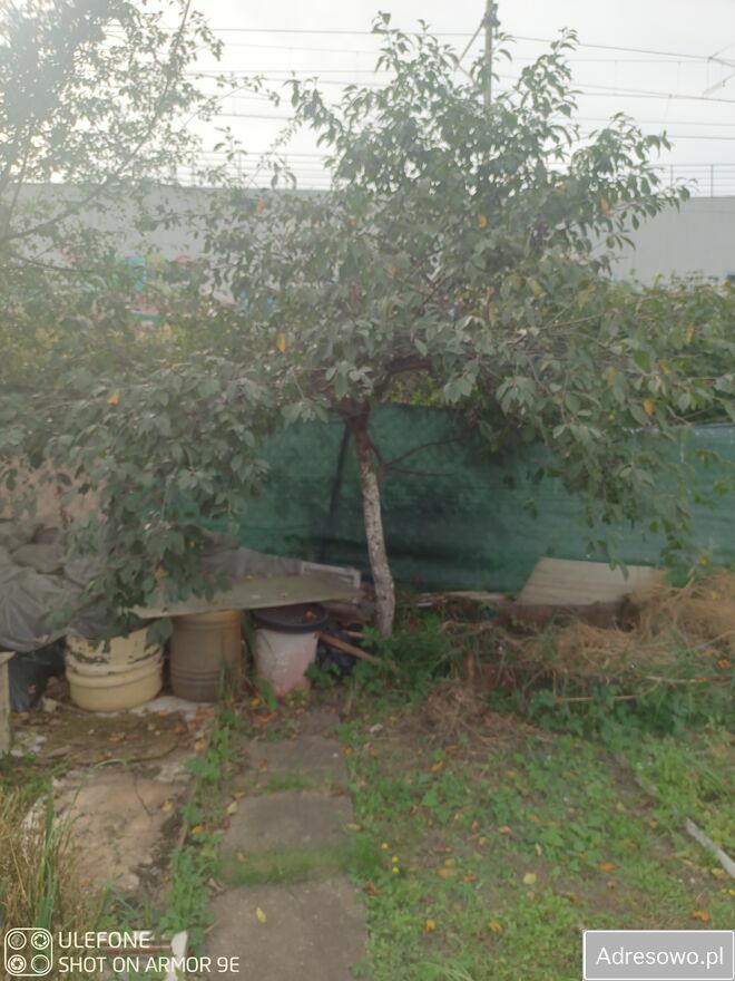 Działka rod Gdańsk Zaspa, ul. Franciszka Hynka. Zdjęcie 7