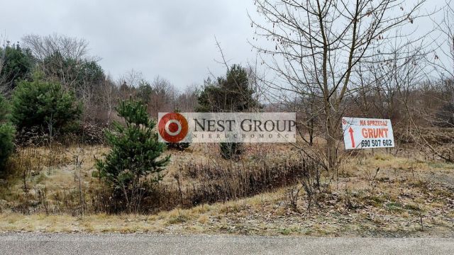 Działka inwestycyjna Wierzbica. Zdjęcie 21