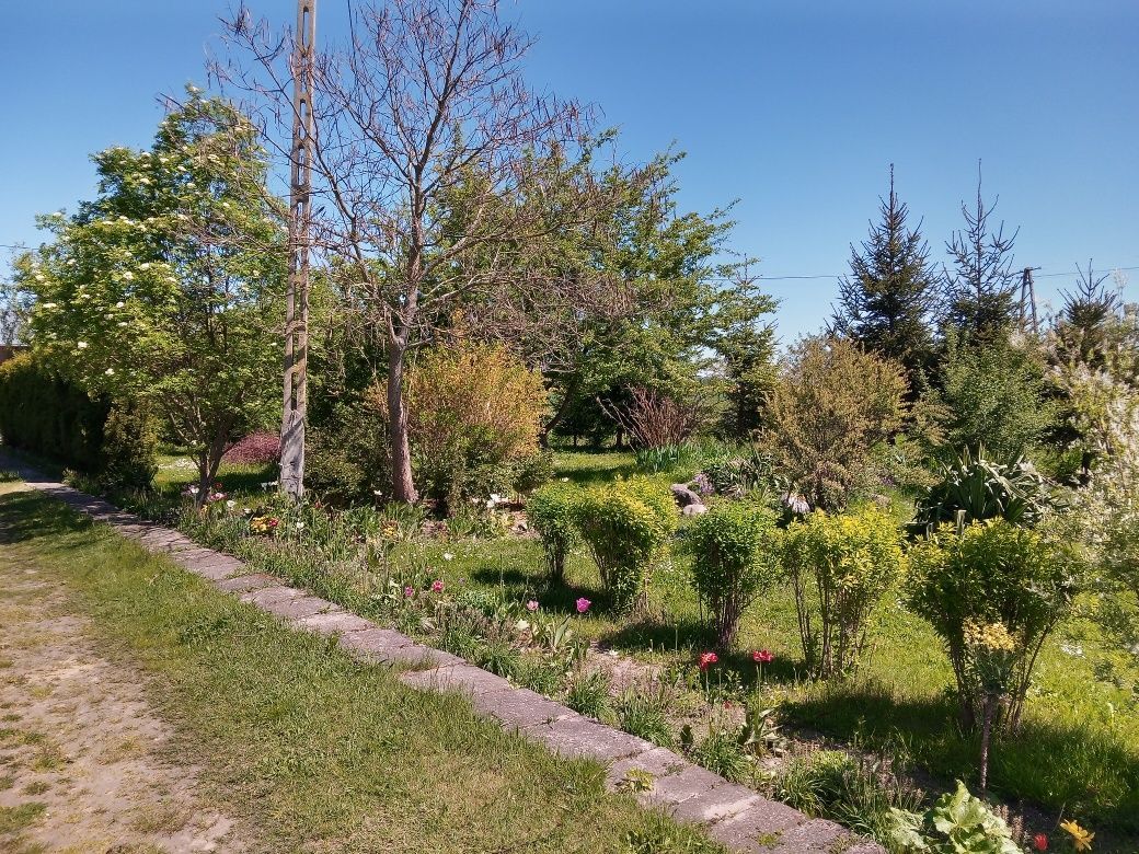 dom wolnostojący, 5 pokoi Jabłonna Lacka, ul. Kwiatowa. Zdjęcie 6