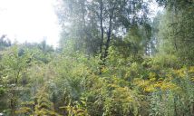 Działka budowlana Wódka, ul. Słoneczna. Zdjęcie 2