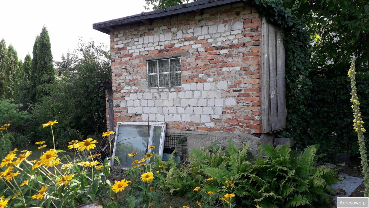 Działka rod Chełmno. Zdjęcie 5