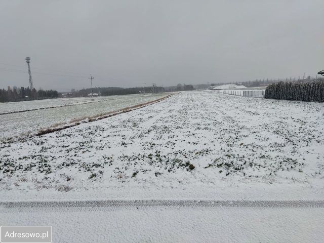 Działka rolno-budowlana Kurów, ul. Wiśniowa. Zdjęcie 1