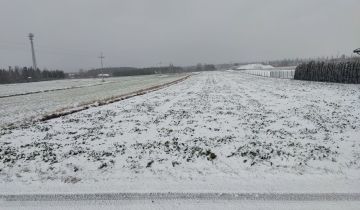 Działka rolno-budowlana Kurów, ul. Wiśniowa