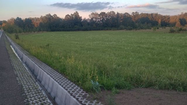 Działka rolna Dąbrowa Górnicza Łęka. Zdjęcie 1