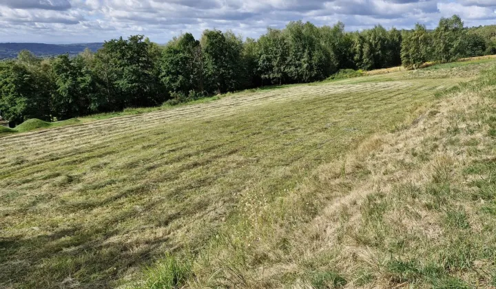 Działka budowlana Kobylany