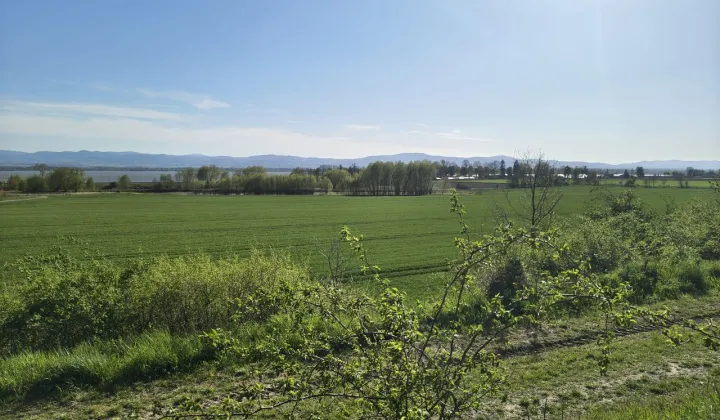 Działka budowlana Otmuchów Sarnowice
