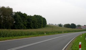 Działka budowlana Klimontów