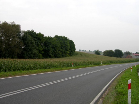 Działka budowlana Klimontów