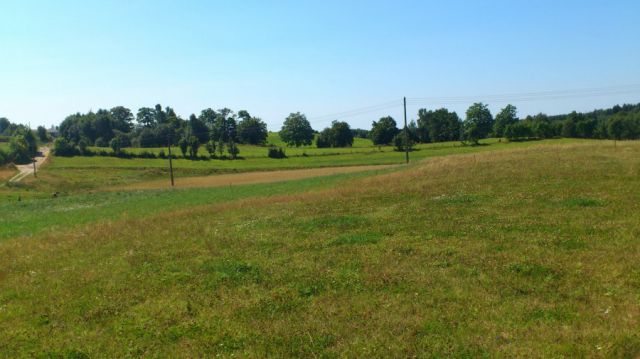 Działka siedliskowa Nowa Wieś Przywidzka. Zdjęcie 1
