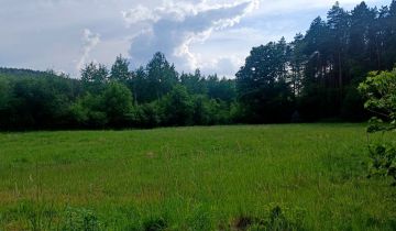 Działka rolna Pogorzyce Źrebce, ul. Poziomkowa