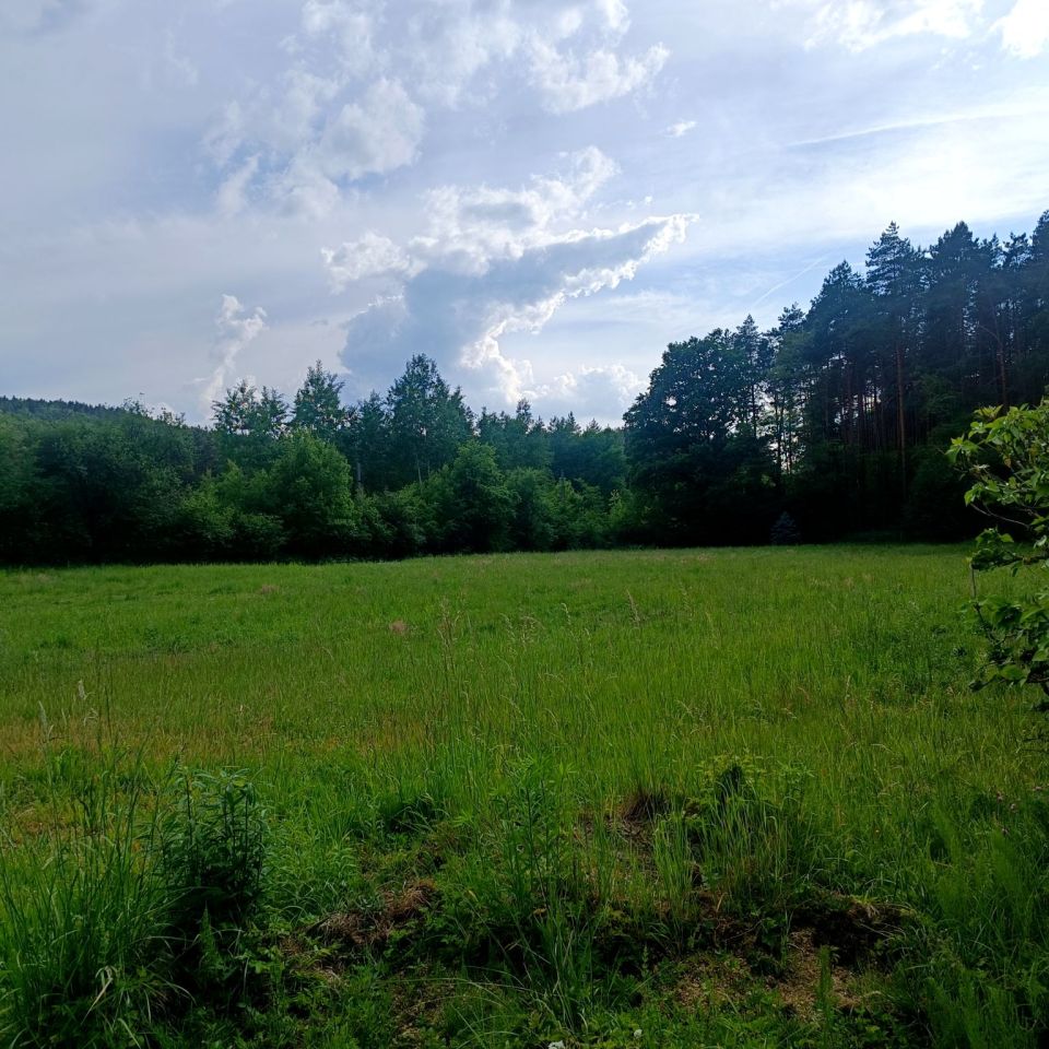 Działka rolna Pogorzyce Źrebce, ul. Poziomkowa. Zdjęcie 2