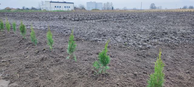 Działka budowlana Uników. Zdjęcie 2