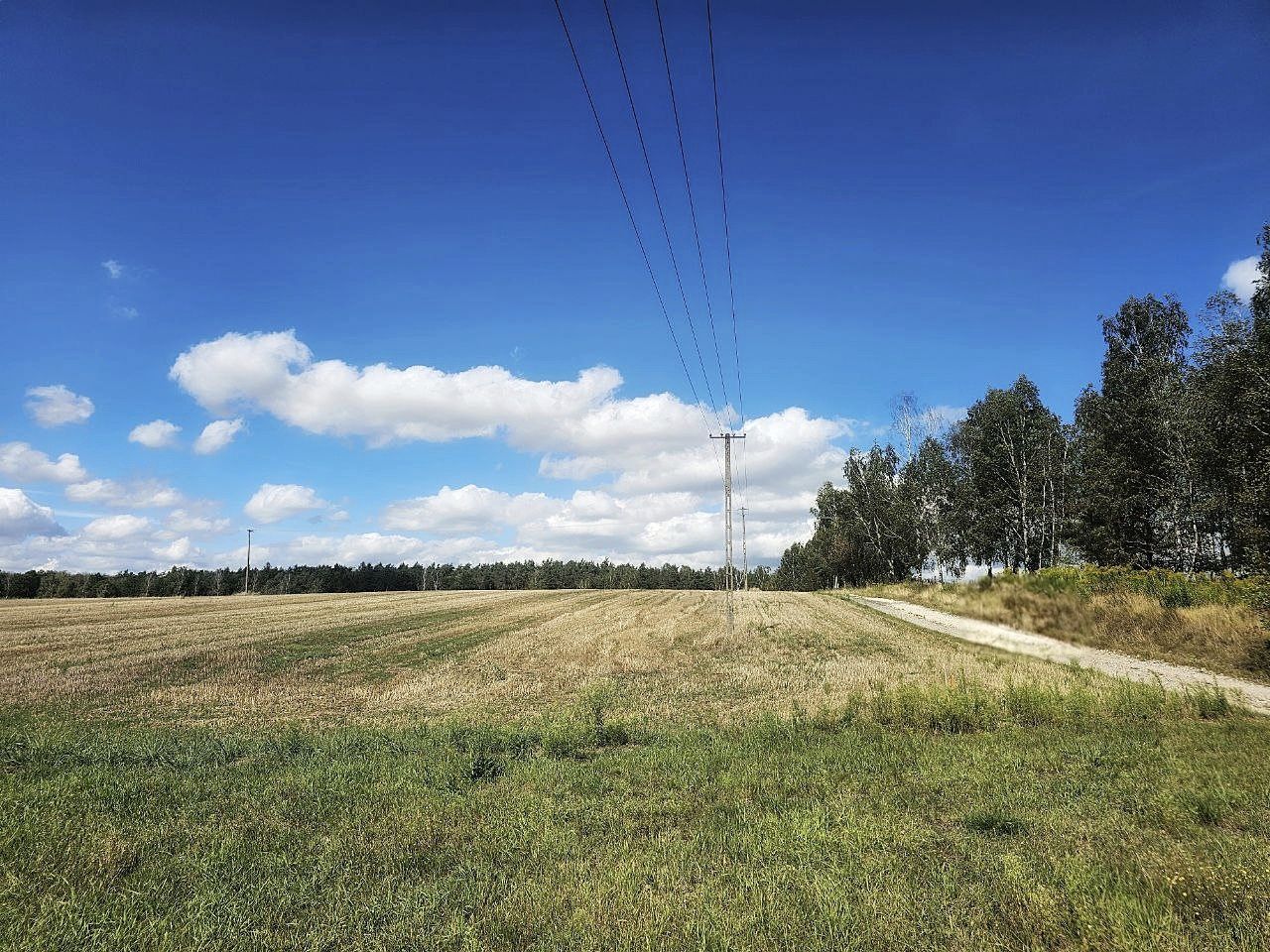 Działka budowlana Rozworzyn. Zdjęcie 4