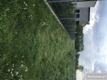 Działka budowlana Sośnie. Zdjęcie 4