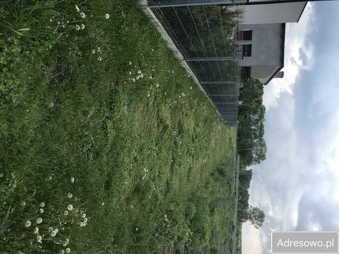 Działka budowlana Sośnie. Zdjęcie 5