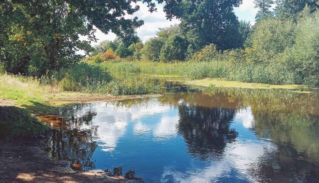 Działka budowlana Brzeźce, ul. Główna. Zdjęcie 40