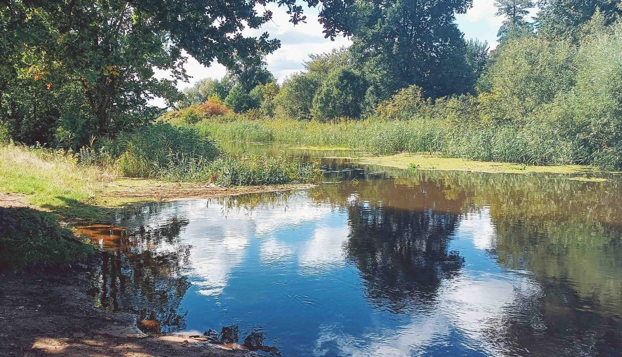 Działka budowlana Brzeźce, ul. Główna. Zdjęcie 40