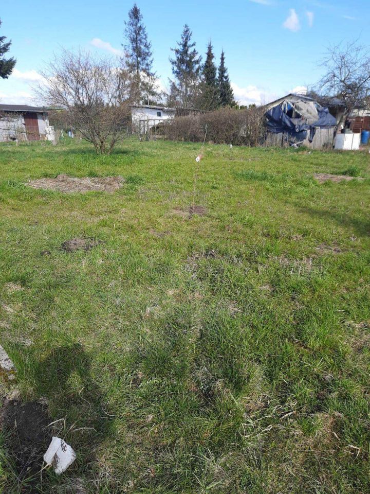 Działka rod Strzelce Opolskie. Zdjęcie 2