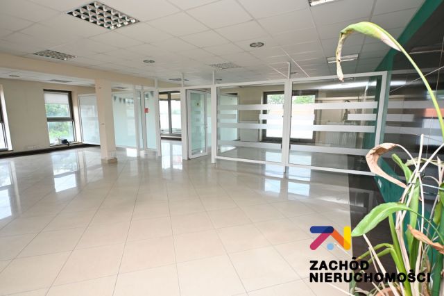 Biuro Zielona Góra Centrum. Zdjęcie 4