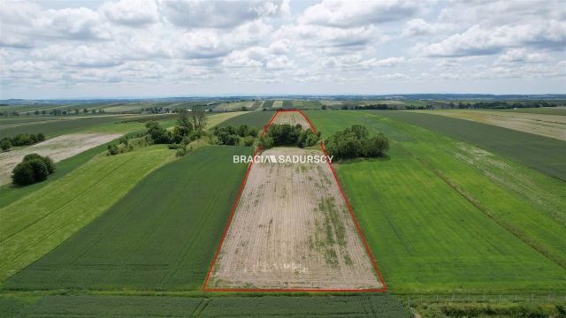Działka rolna Prandocin-Iły. Zdjęcie 8
