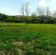 Działka budowlana Krzeszów. Zdjęcie 8