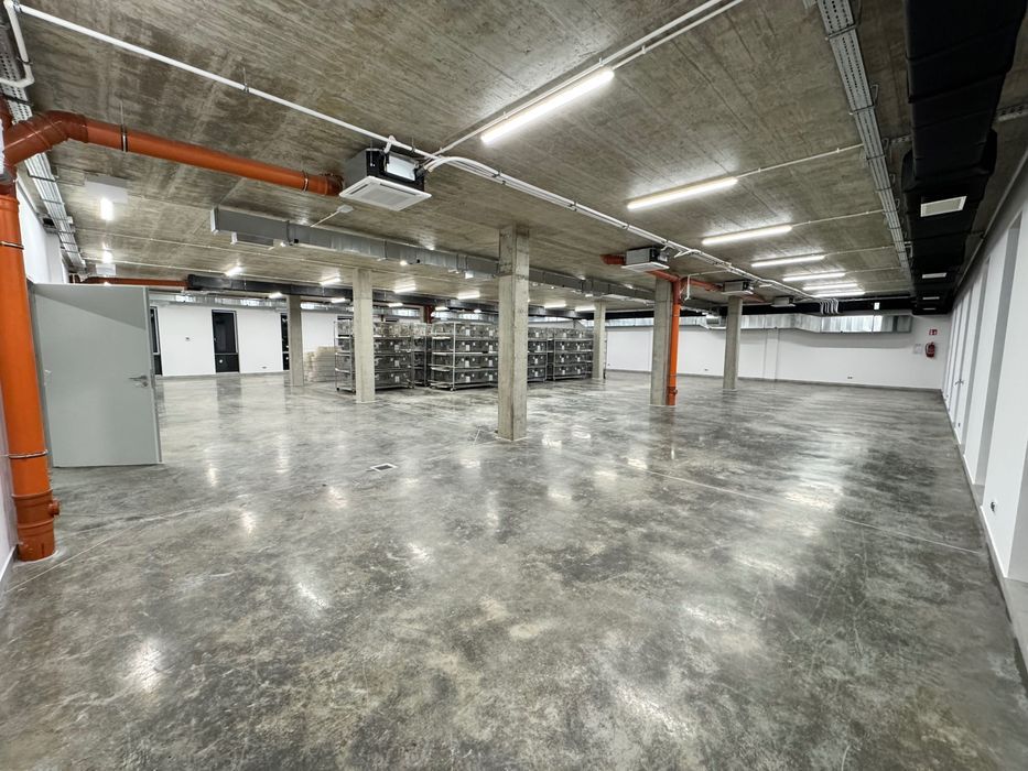 Hala/magazyn Wola Cieklińska. Zdjęcie 8