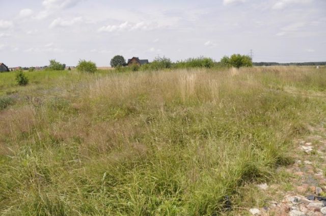 Działka budowlana Orzesze. Zdjęcie 3