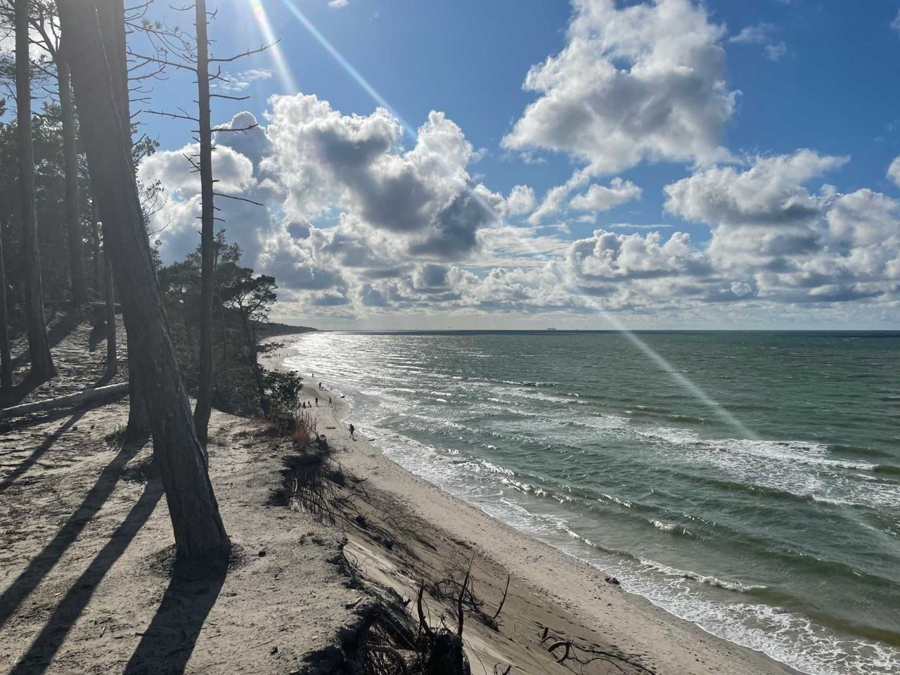 Działka rekreacyjna Karwieńskie Błoto Drugie. Zdjęcie 6