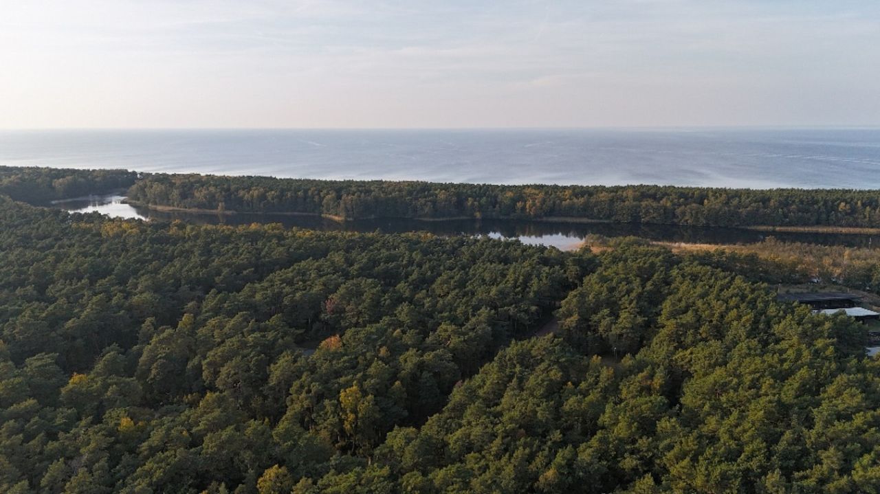 dom wolnostojący, 3 pokoje Dziwnów. Zdjęcie 5