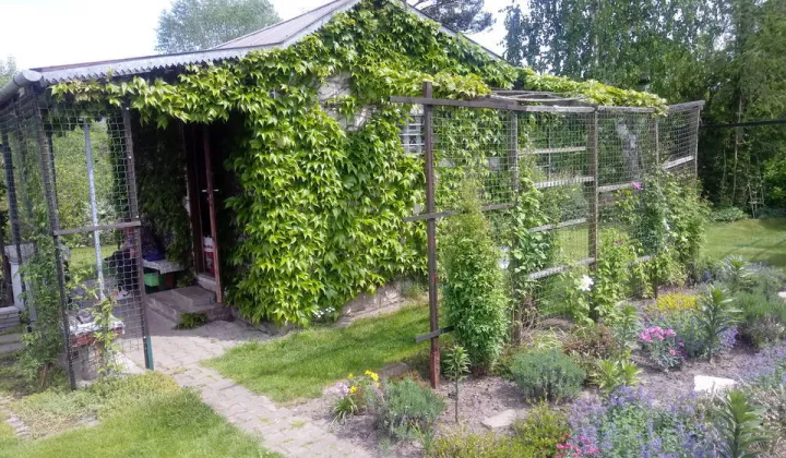 Działka rod Krasnystaw, ul. Grobla