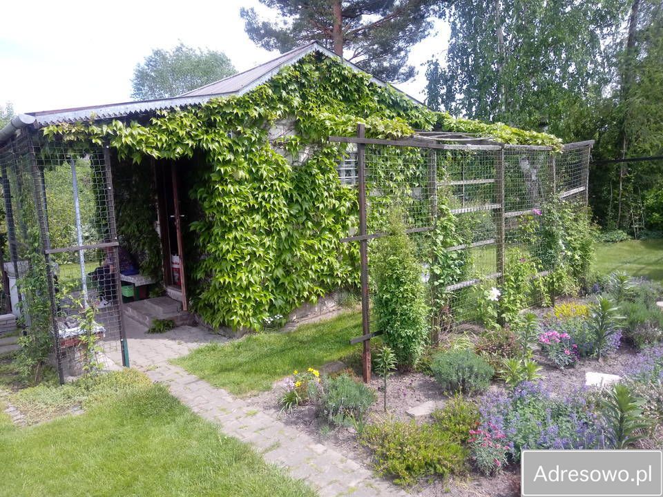 Działka rod Krasnystaw, ul. Grobla