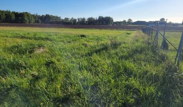 Działka rolno-budowlana Trzebieszewo