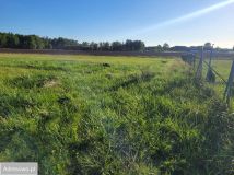 Działka rolno-budowlana Trzebieszewo. Zdjęcie 1