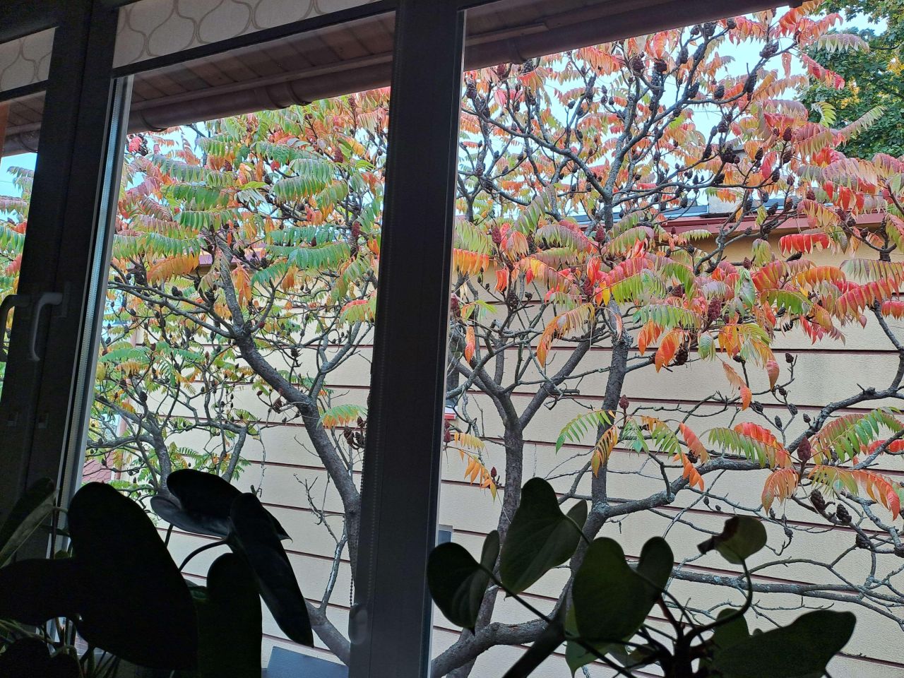 Mieszkanie 1-pokojowe Nysa Dolna Wieś, ul. Podolska. Zdjęcie 12