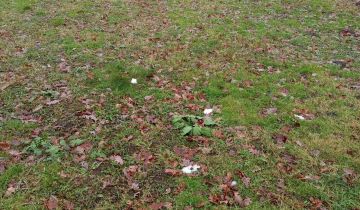 Działka budowlana Ujazd