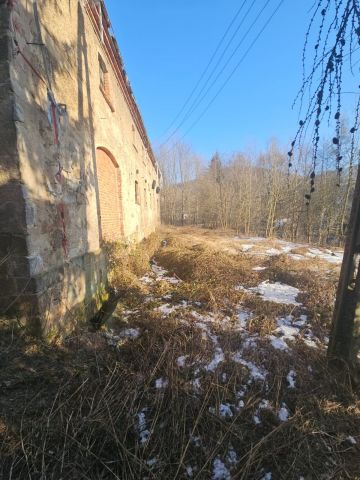 dom, 5 pokoi Czernica. Zdjęcie 2