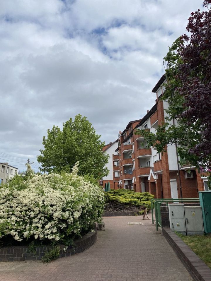 Lokal Poznań Strzeszyn, ul. Murawa. Zdjęcie 2