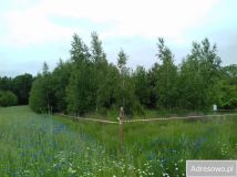 Działka rolno-budowlana Węgrzynówek. Zdjęcie 2