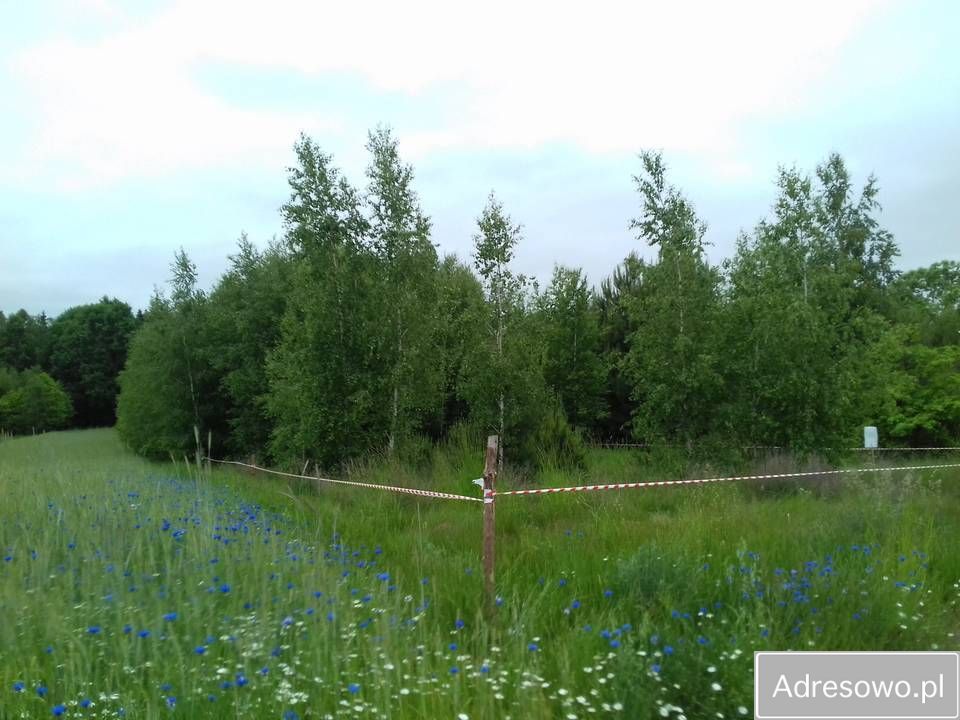 Działka rolno-budowlana Węgrzynówek. Zdjęcie 3